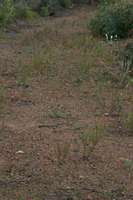 image 24